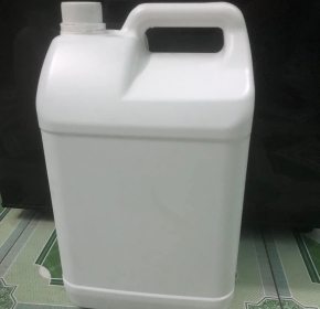 CAN 10L