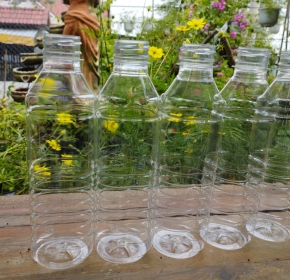 NG-F30-12G–350ML (CHAI NƯỚC SÂM)