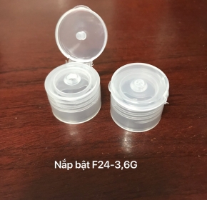 Nắp bật F24