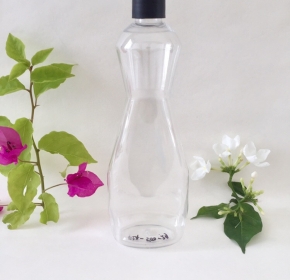 Chai PET F24 - 29G- 500ml