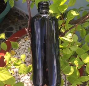 Chai PET MVT-128-48G-500ml