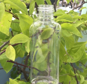 Chai MVT - F24-19G-120ml