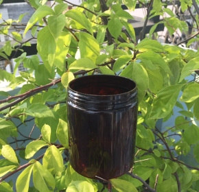Hũ MVT-F65-22G-250ml
