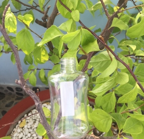 Chai nhựa MVT-F20-14G-90ml