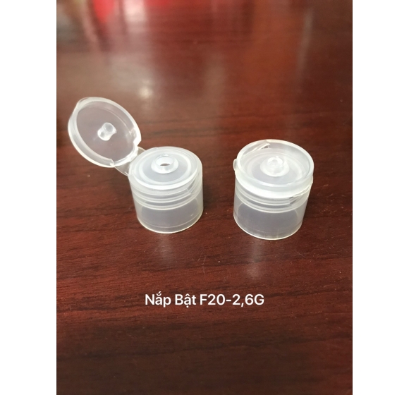 Nắp bật F20